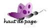 image papillon pour retour au de page